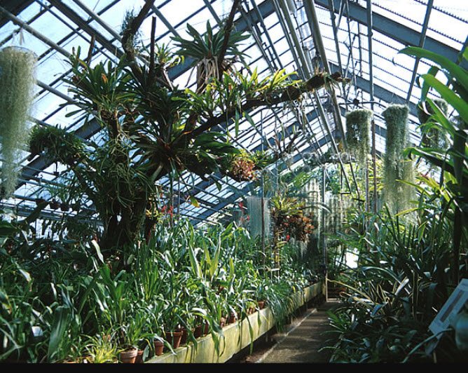 Heidelberg Botanical Garden, Heidelberg, Germany , Germany